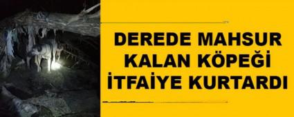 DEREDE MAHSUR KALAN K�PE�� �TFA�YE KURTARDI