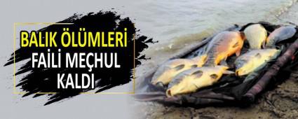 BALIK �L�MLER� FA�L� ME�HUL KALDI