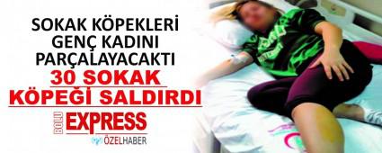 30 SOKAK K�PE�� SALDIRDI