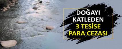 DO�AYI KATLEDEN 3 TES�SE PARA CEZASI