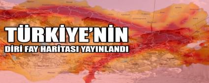 BOLU\'DA D�R� FAYIN �ZER�NDE