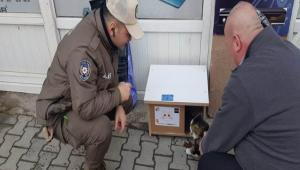 HAYD� EK�PLER� SOKAK HAYVANLARINI UNUTMADI