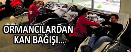 ORMANCILARDAN KAN BA�I�I