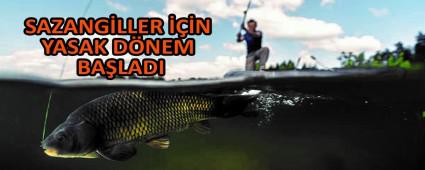 SAZANG�LLER ���N YASAK D�NEM BA�LADI