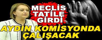 MECL�S TAT�LE G�RD�, AYDIN KOM�SYONDA �ALI�ACAK