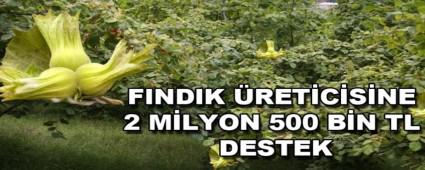 F�nd�k �reticisine 2 Milyon 500 Bin TL Destek