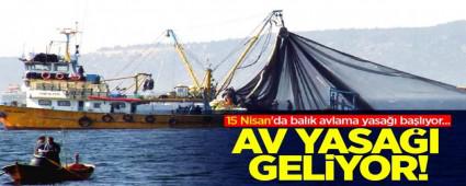 AV YASA�I BA�LIYOR