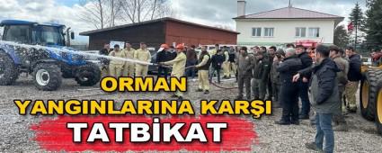 D�rtdivan\'da olas� orman yang�nlar�na kar�� e�itim tatbikat� d�zenlendi