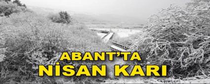 ABANT\'TA N�SAN KARI