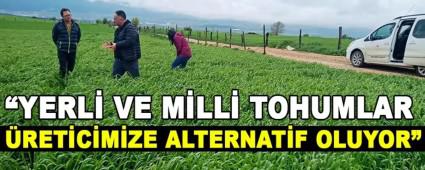 �YERL� VE M�LL� TOHUMLAR �RET�C�M�ZE ALTERNAT�F OLUYOR�
