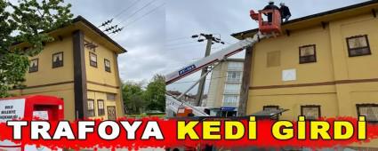 TRAFOYA KED� G�RD�