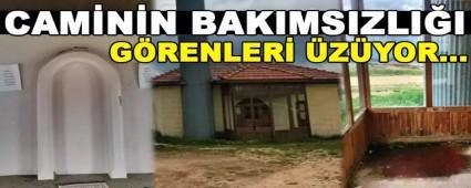 CAM�N�N BAKIMSIZLI�I G�RENLER� �Z�YOR...