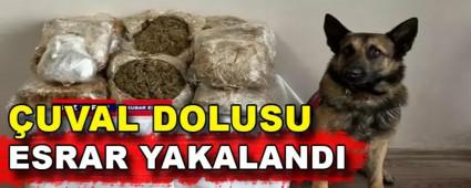 �UVAL DOLUSU ESRAR YAKALANDI
