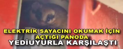 ELEKTR�K SAYACINI OKUMAK ���N A�TI�I PANODA YED�UYURLA KAR�ILA�TI