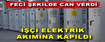 FEC� �EK�LDE CAN VERD�