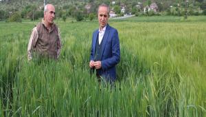 �l M�d�r� �zzet Murat Sahada �ncelemelerine Devam Ediyor