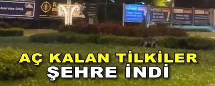 A� KALAN T�LK�LER �EHRE �ND�