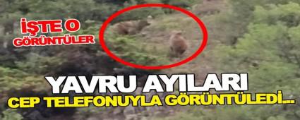 YAVRU AYILARI CEP TELEFONUYLA G�R�NT�LED�...