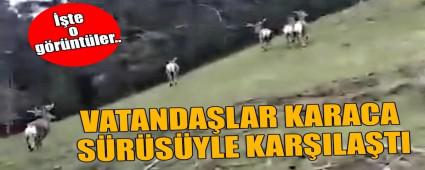 VATANDA�LAR KARACA S�R�S�YLE KAR�ILA�TI