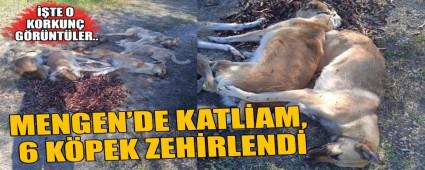 MENGEN\'DE KATL�AM