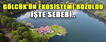 G�LC�K\'�N EKOS�STEM� BOZULDU ��TE SEBEB�..
