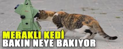 MERAKLI KED� BAKIN NEYE BAKIYOR