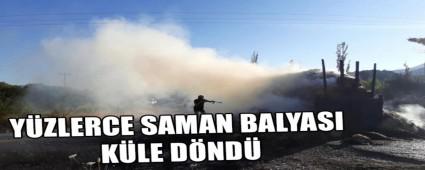 Y�ZLERCE SAMAN BALYASI K�LE D�ND�