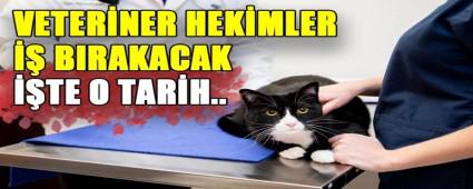 VETER�NER HEK�MLER �� BIRAKACAK ��TE O TAR�H..