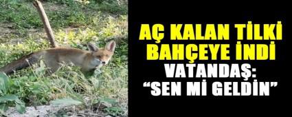 A� KALAN T�LK�, BAH�EYE �ND�