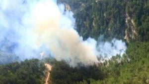 REKOR KIRAN SICAKLIKLAR  B�TMEYEN ORMAN YANGINLARI