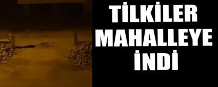 T�LK�LER MAHALLEYE �ND�