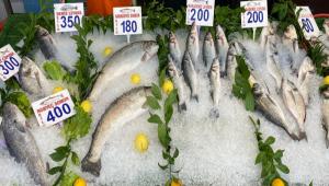 BOLU\'DA BALIK TEZGAHLARI HAREKETLEND�