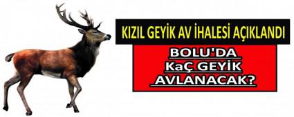 BOLU\'DA KA� GEY�K AVLANACAK?