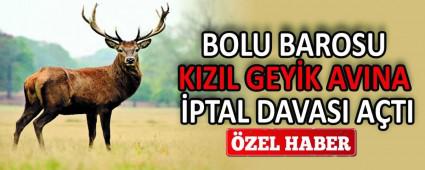 BOLU BAROSU KIZIL GEY�K AVINA �PTAL DAVASI A�TI