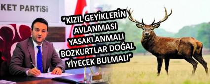 \"KIZIL GEY�KLER�N AVLANMASI YASAKLANMALI  BOZKURTLAR DO�AL Y�YECEK BULMALI\"