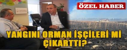 YANGINI ORMAN ����LER� M� �IKARTTI?