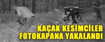 KA�AK KES�MC�LER  FOTOKAPANA YAKALANDI