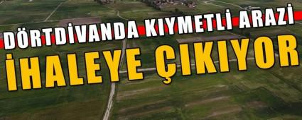 D�RTD�VANDA KIYMETL� ARAZ� �HALEYE �IKIYOR