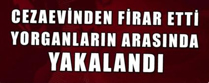 CEZAEV�NDEN F�RAR ETT�  YORGANLARIN ARASINDA YAKALANDI