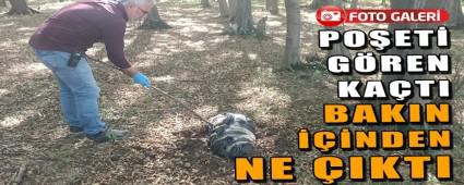 PO�ET� G�REN KA�TI
