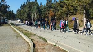 Bolu\'da ba��ml�l�k kar��tlar� kilometrelerce y�r�d�