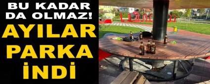 Ay�lar parklara indi