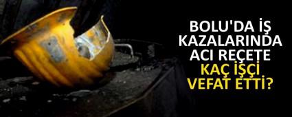 Bolu\'da i� kazas�nda ka� i��i vefat etti?