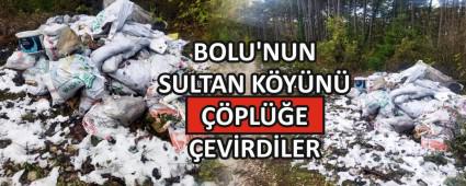 Bolu\'nun Sultan k�y�n� ��pl��e �evirdiler