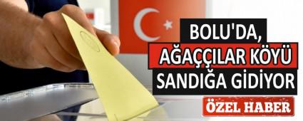 BOLU\'DA, A�A��ILAR K�Y� SANDI�A G�D�YOR