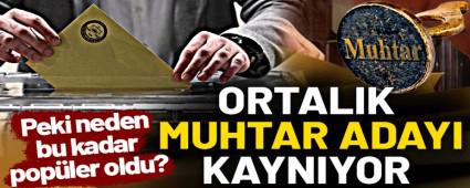 BOLU\'DA MUHTAR ADAYLARININ SAYISI REKORA G�D�YOR!