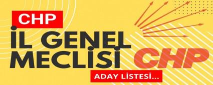 BOLU CHP\'N�N �L GENEL MECL�S L�STES� A�IKLANDI