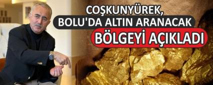 CO�KUNY�REK, BOLU\'DA ALTIN ARANACAK B�LGEY� A�IKLADI