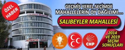 SALIBEYLER MAHALLES�\'NDE 2014 VE 2019 SE��MLER�NDE K�M NE KADAR OY ALDI?
