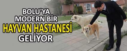 BOLU\'YA MODERN B�R HAYVAN HASTANES� GEL�YOR
